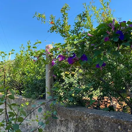 Casa vacanze L'orizzonte Di Calabianca *